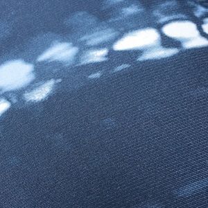 Meet your Posher, Allie